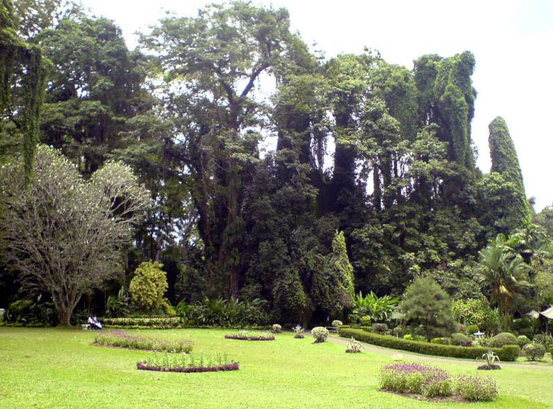 Paradeniya gardens
